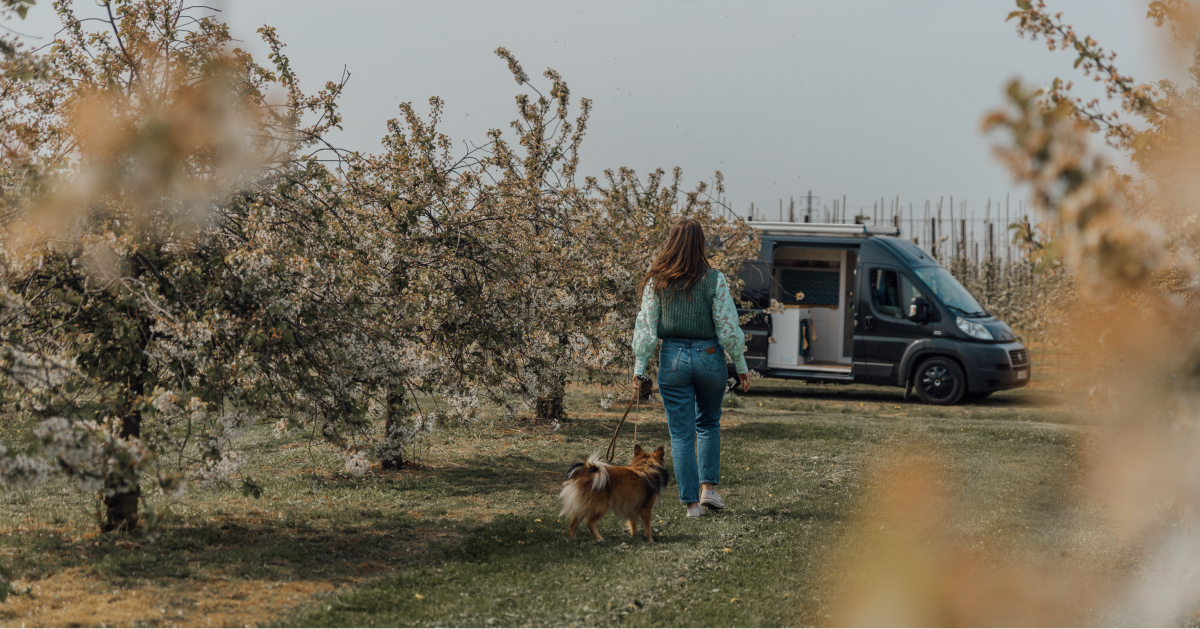 camper trip denemarken