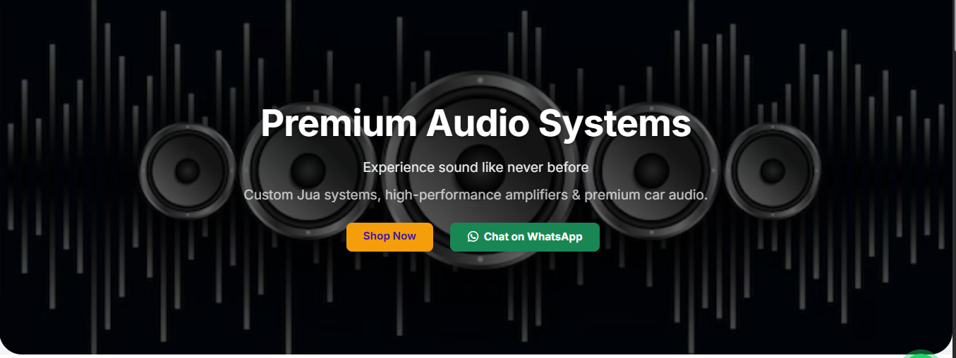 Rian Audio Systems