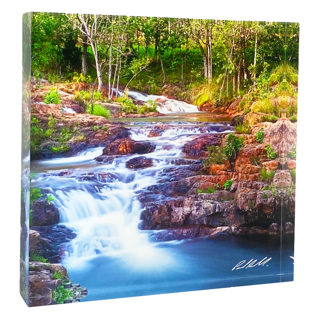 Acrylic Block, Buley Rockhole, Litchfield, NT