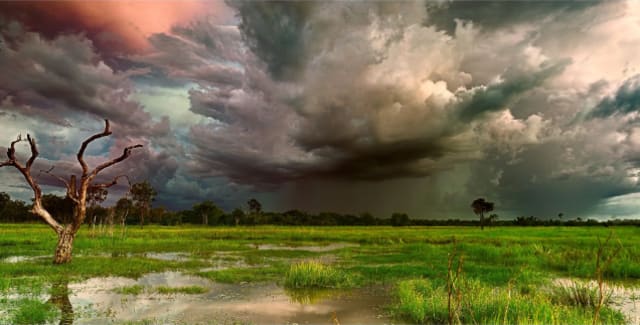 Marrakai Storm 120 x 60cm