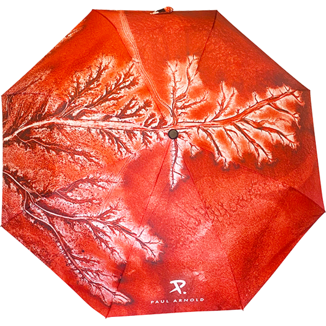 Art Umbrella, red