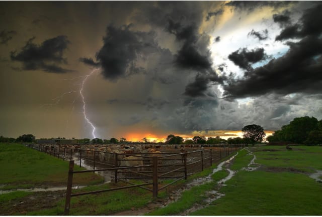 Cattle Yards Storm Print