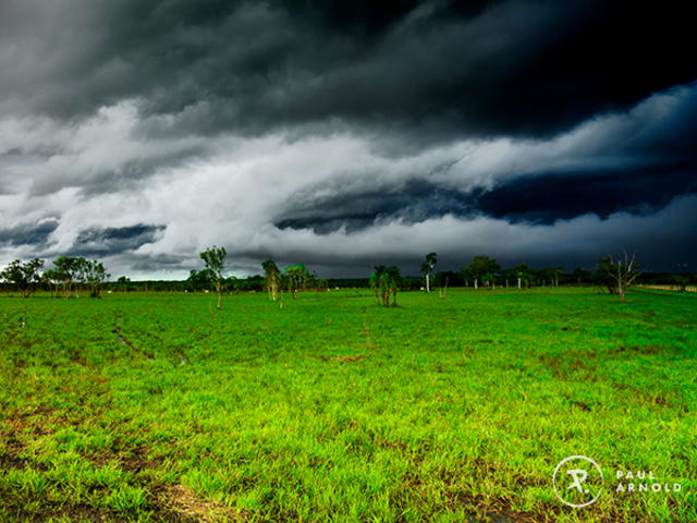 Floodplains 80cm