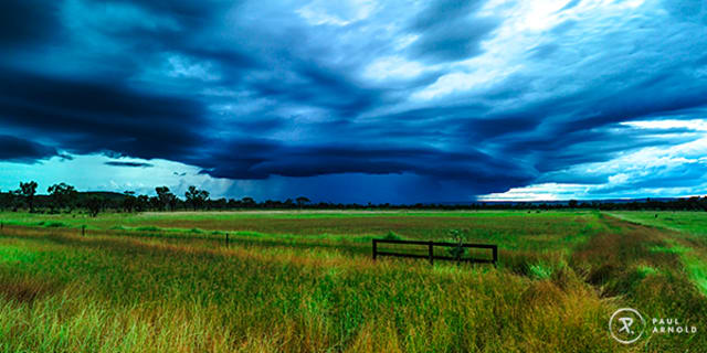 Monsoon Rains 80cm