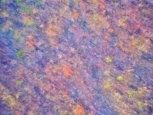 Patchwork 8/10