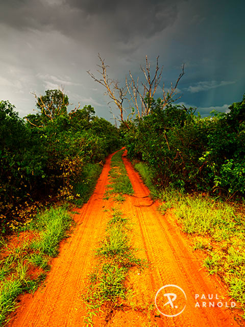 Rainy Roads 80cm