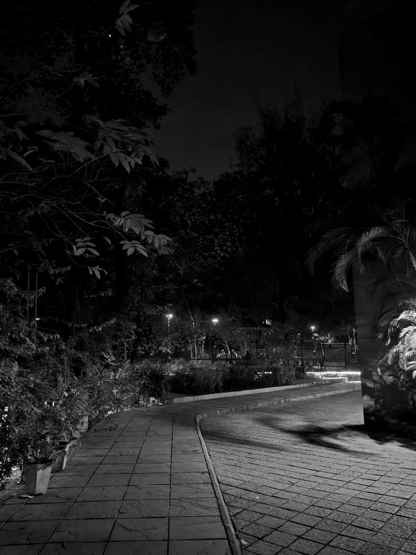 A paved path curving through dense trees and shrubs in a park at night, distant lamps glowing through the leaves, in black and white.