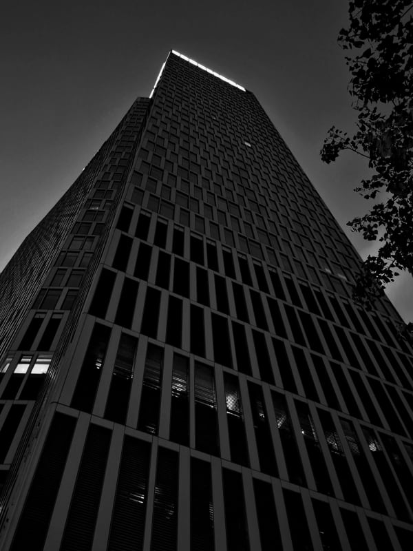A low-angle view up a tall modern office tower against the sky, a tree branch framing one edge, in black and white.