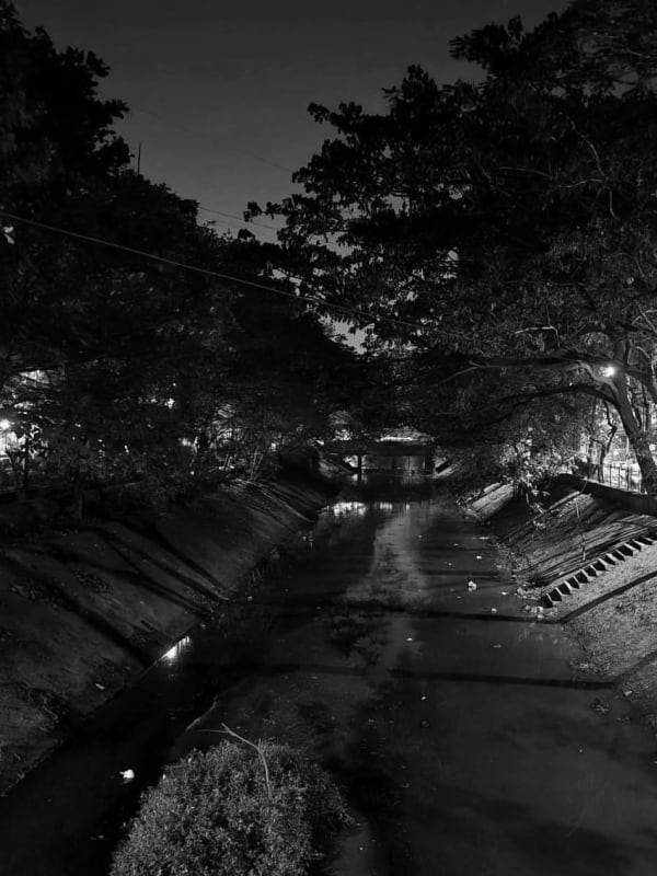 A narrow urban canal at night lined with overhanging trees, a footbridge in the distance mirrored on the still water, in black and white.