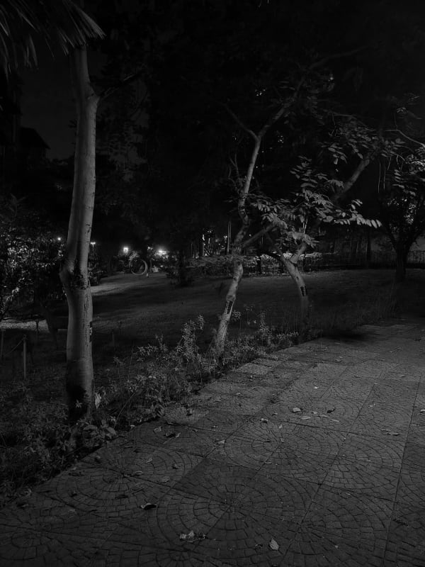 A park at night with slender tree trunks and a circular-patterned stone path scattered with leaves, distant streetlights beyond, in black and white.