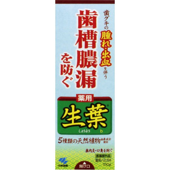 小林製薬 薬用ハミガキ 生葉 100g