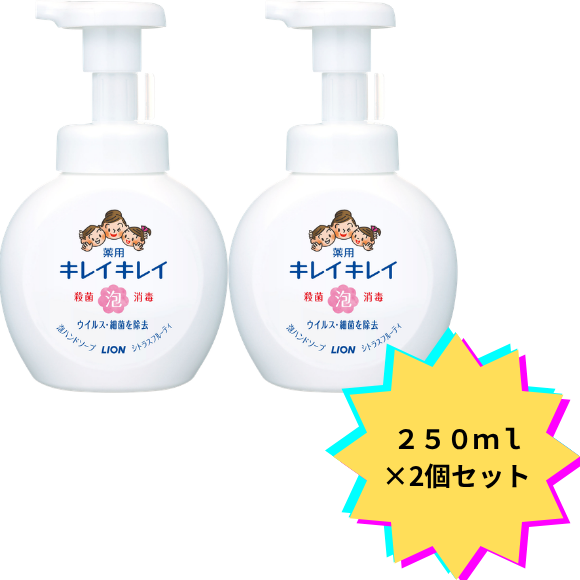 【2個セット】キレイキレイ 薬用泡ハンドソープ ポンプ ２５０ｍｌ
