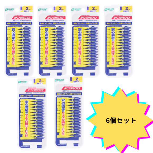【6個セット】エスセレクト デンタルプロ歯間ブラシ Ｉ字型 サイズ２－ＳＳ １５本入