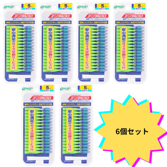 【6個セット】エスセレクト デンタルプロ歯間ブラシ Ｉ字型 サイズ５－Ｌ １５本入
