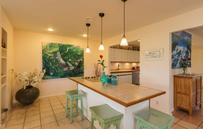 Bar/Kitchen