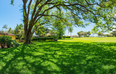 Backyard with Maui Golf Course