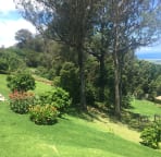 the yard