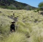 A short hike to the south.
