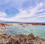 Snorkeling at Shark's Cove which is 5 minutes away