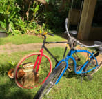 2 bikes are available.