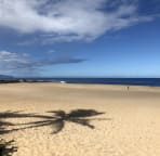 This beach is only 150 feet away from the house.