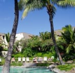Twin palms