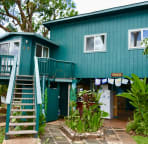 Steps up to treehouse