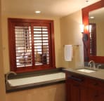 Master bathroom tub
