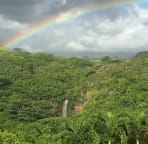 Kayak up Wailua River & hike to Secret Falls Short drive Wailua Kayak Adventures, it's called "hiyaking"!!