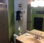 Guest bathroom with walk-in shower