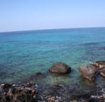 Another perfect Kona day at Hale Honu