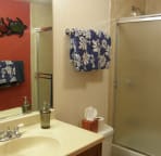 Master bathroom with tub/shower combo