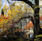 Garden view in autumn