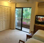 Downstairs BR has a private lanai and HDTV