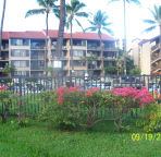 Tropical plants and flowers