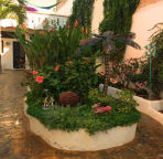 shared garden