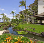 Garden with Koi pond