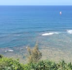 Fishing from the reef in high summer