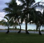 View from the lawn
