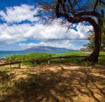 Kamaole Beach I