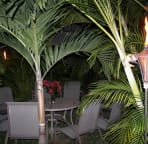 Outdoor garden