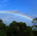 rainbow view from the yard