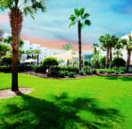 Grounds below