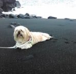 This beach is 10 minutes walk north of our own bay