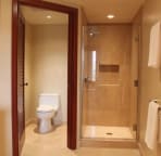 Master shower