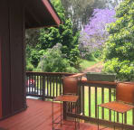 the deck