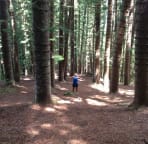 3 trailheads to Sleeping Giant, hike this forest via the south & west trailheads