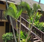 1st floor Condo