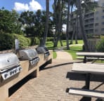 Beachfront gas grills with picnic area