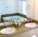 New master bath with whirlpool tub and walk in shower